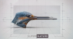 Superkräfte der Natur