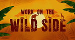 Team Wildlife Südafrika