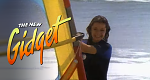 The New Gidget (USA, 1986 – )
