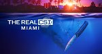 The Real CSI: Miami (USA, 2024 – )