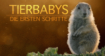 Tierbabys - Die ersten Schritte (GB, 2018 – )