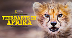 Tierbabys in Afrika (F, 2018 – )