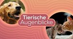 Tierische Augenblicke (A, 2023 – )