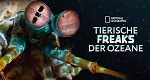 Tierische Freaks der Ozeane (NZ/USA, 2021 – )