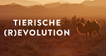 Tierische (R)Evolution (USA, 2023 – )
