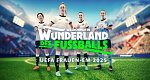 UEFA Fußball-Europameisterschaft der Frauen