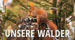 Unsere Wälder