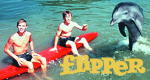 Flipper