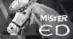 Mr. Ed
