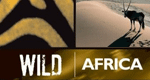 Wildes Afrika