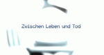 Zwischen Leben und Tod (GB/USA, 2007 – )