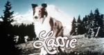 Lassie