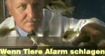 Wenn Tiere Alarm schlagen