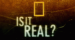 Is It Real?