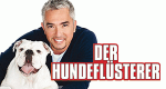 Der Hundeflüsterer