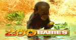 Zoobabies (D, 2014 – )