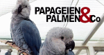 Papageien, Palmen & Co.
