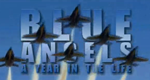 Blue Angels - Loopings in Perfektion