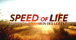 Speed of Life - Momentaufnahmen des Lebens