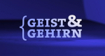 Geist und Gehirn