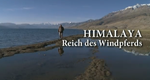 Himalaya - Reich des Windpferds