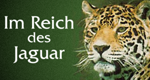 Im Reich des Jaguar