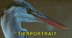 Tierportrait