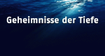 Unterwasserwelten - Gefahren der Ozeane