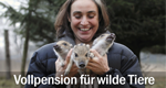 Vollpension für wilde Tiere