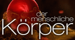 Der menschliche Körper