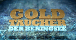 Goldtaucher der Beringsee