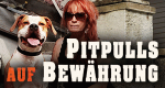 Pitbulls auf Bewährung