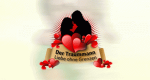 Der Traummann - Liebe ohne Grenzen