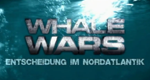 Whale Wars - Entscheidung im Nordatlantik