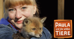 Paula und die wilden Tiere