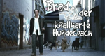 Brad - Der knallharte Hundecoach