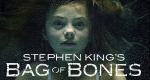 Stephen King's Bag of Bones (USA, 2012 – )