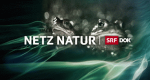 Netz Natur