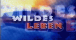 Wildes Leben (D, 1997 – )