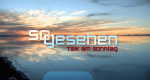 So gesehen - Talk am Sonntag (D, 2011 – )