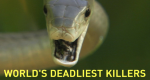 World's Deadliest Killers