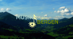 Musik in den Bergen