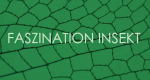 Faszination Insekt