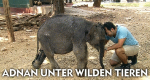 Adnan unter wilden Tieren