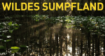 Wildes Sumpfland