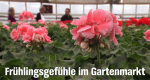 Fr&uuml;hlingsgef&uuml;hle im Gartenmarkt