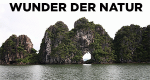 Wunder der Natur