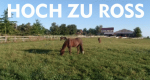 Hoch zu Ross