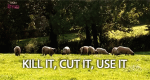Kill it, Cut it, Use it - Wissen, was man konsumiert