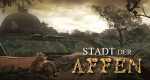 Stadt der Affen